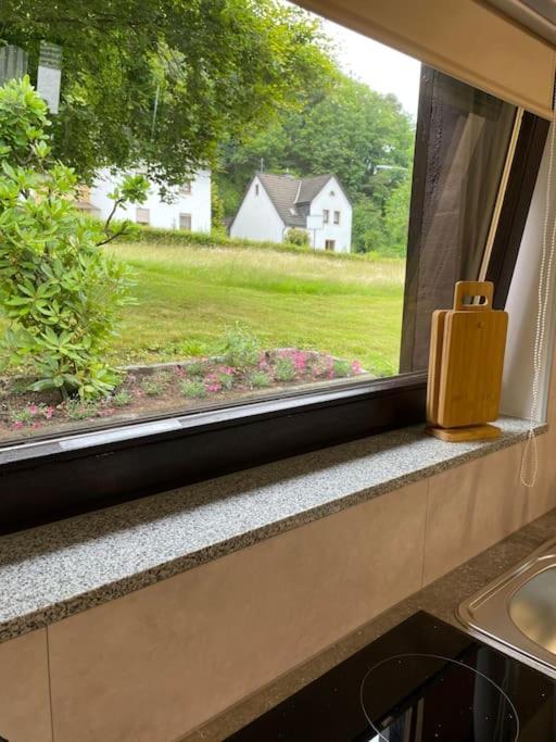 Appartement Zur Wied Oberlahr Ngoại thất bức ảnh